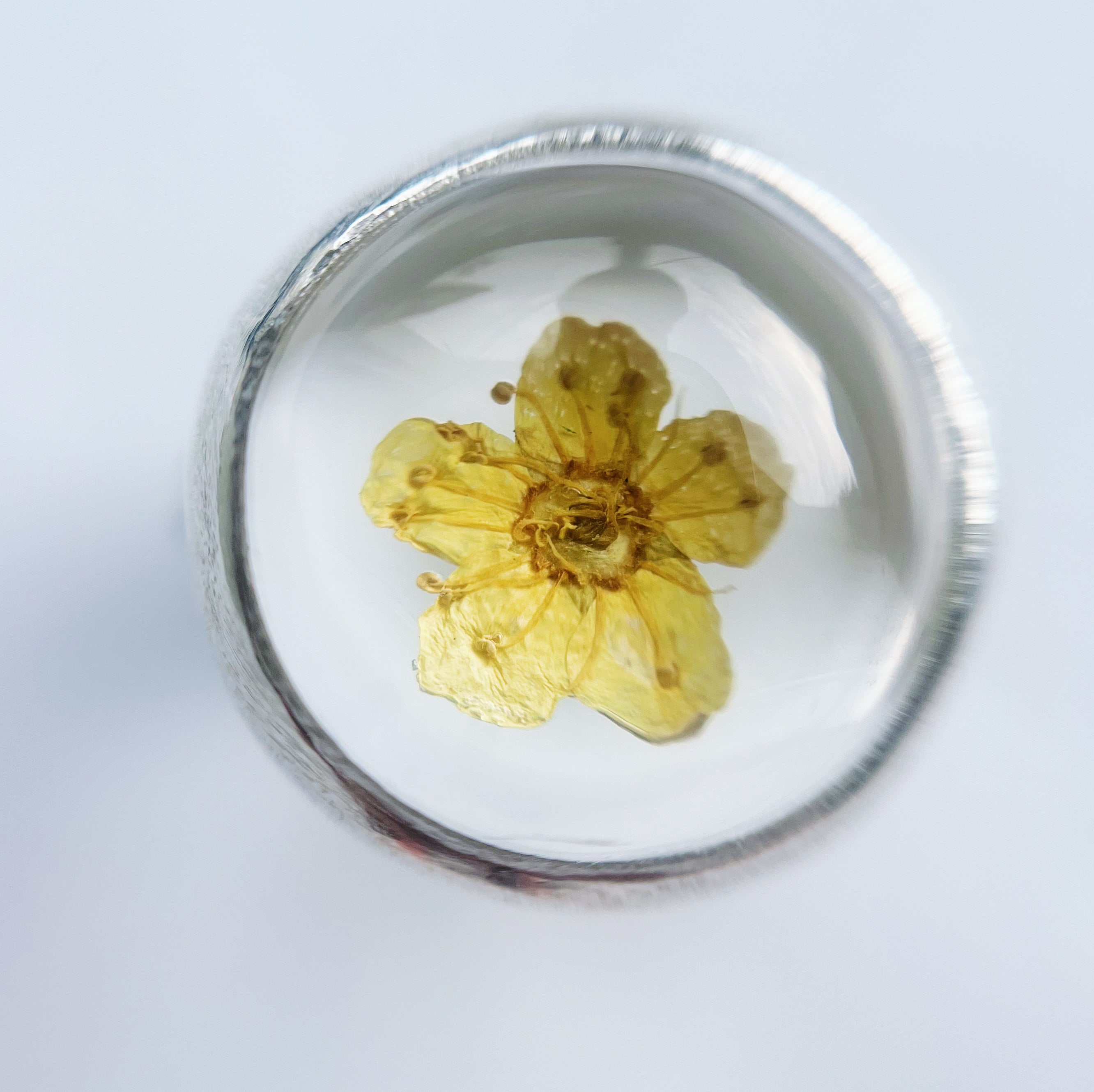 Anillo Florcita Encapsulada / sunny